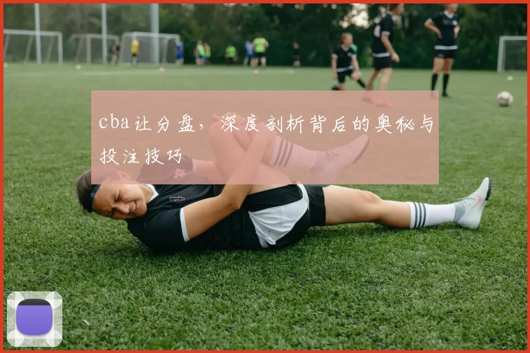 cba让分盘，深度剖析背后的奥秘与投注技巧