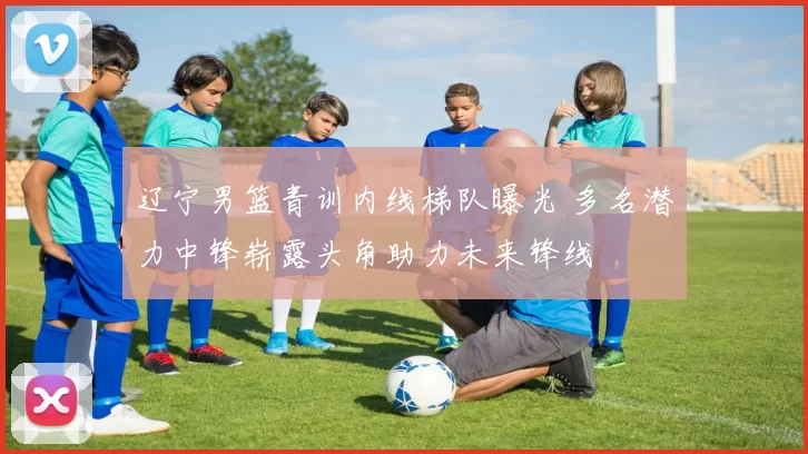 辽宁男篮青训内线梯队曝光 多名潜力中锋崭露头角助力未来锋线