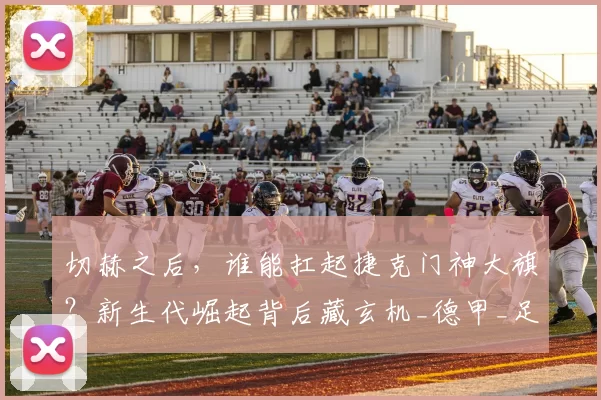 切赫之后，谁能扛起捷克门神大旗？新生代崛起背后藏玄机_德甲_足球_欧冠