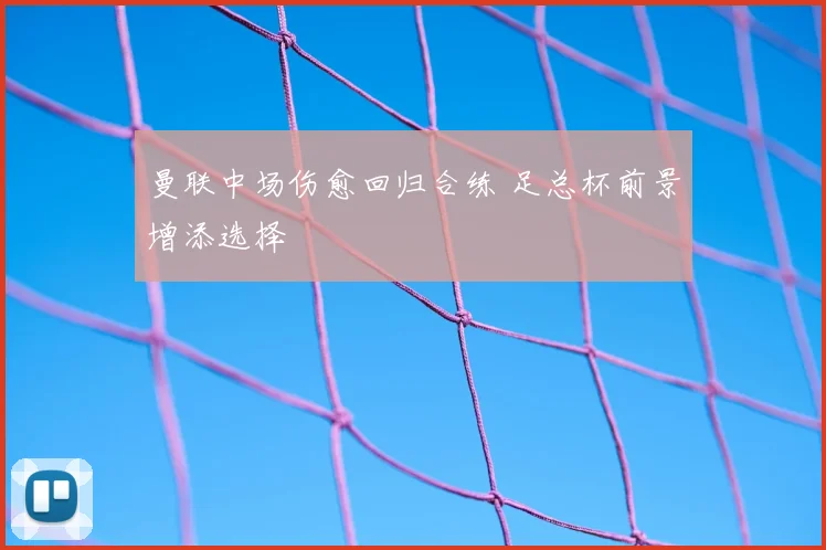曼联中场伤愈回归合练 足总杯前景增添选择